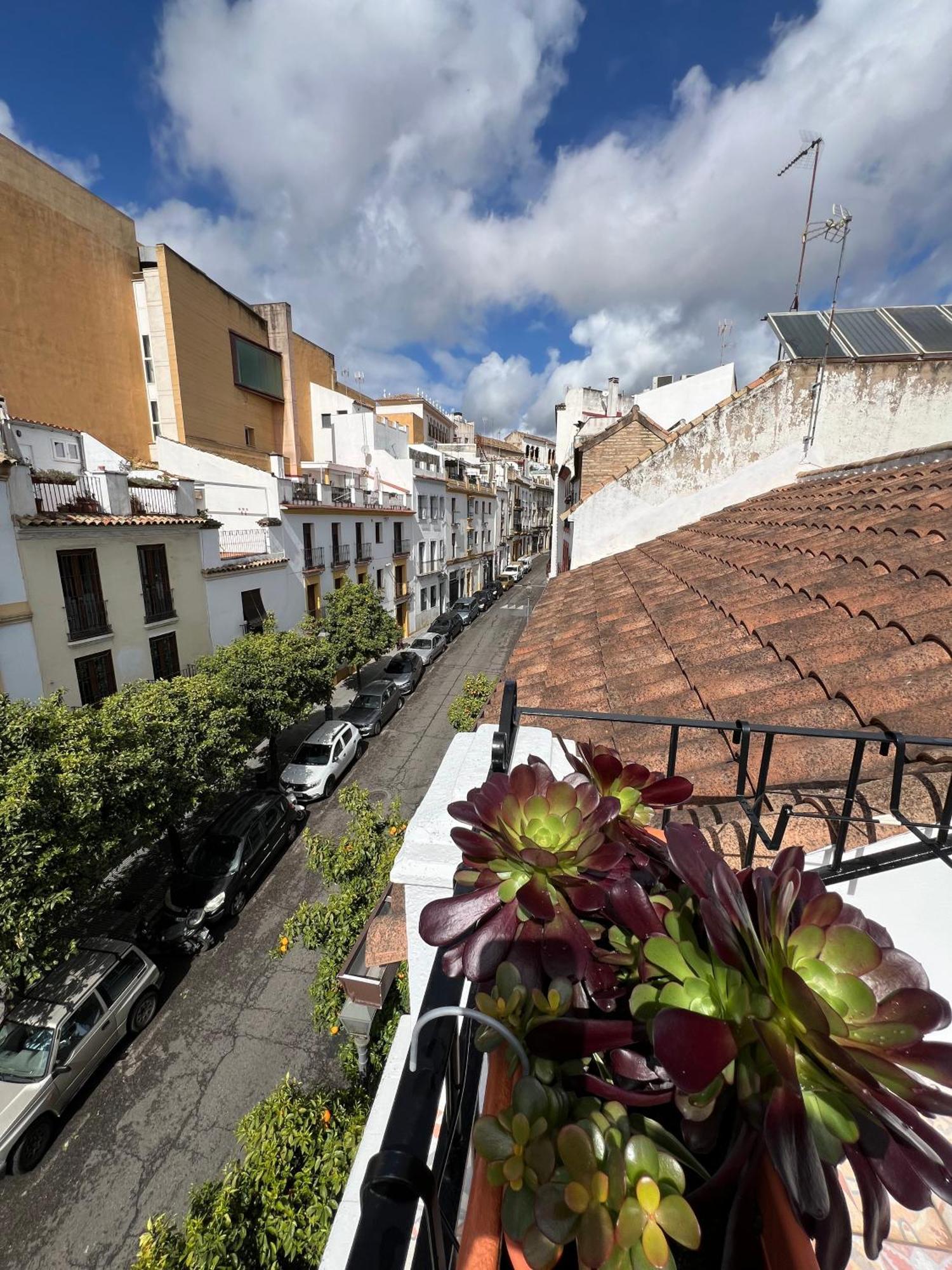 San Fernando 33 Vakantiehuis *